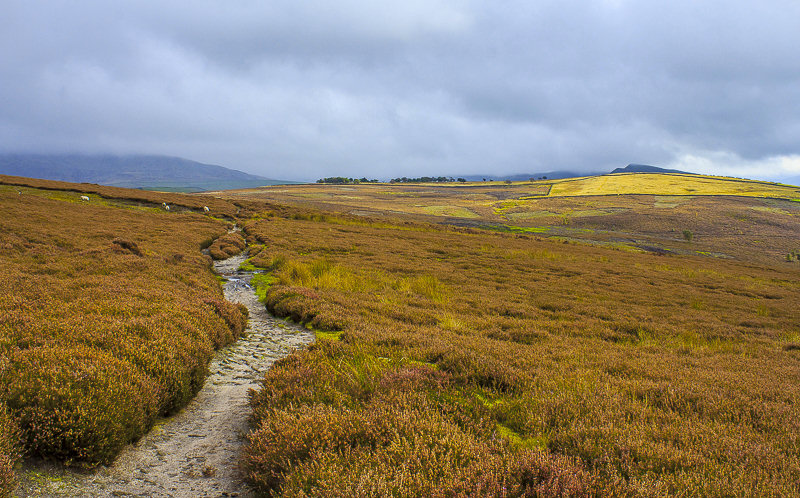 Middle Moor Middle Moor